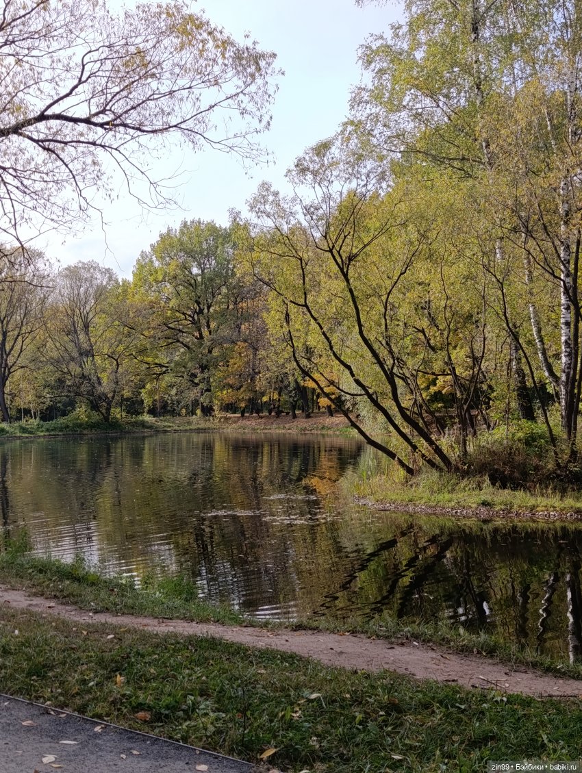 Куклы Kidz'n'Cats и прогулка