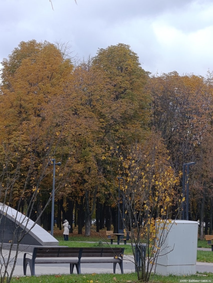 Куклы Kidz'n'Cats и прогулка