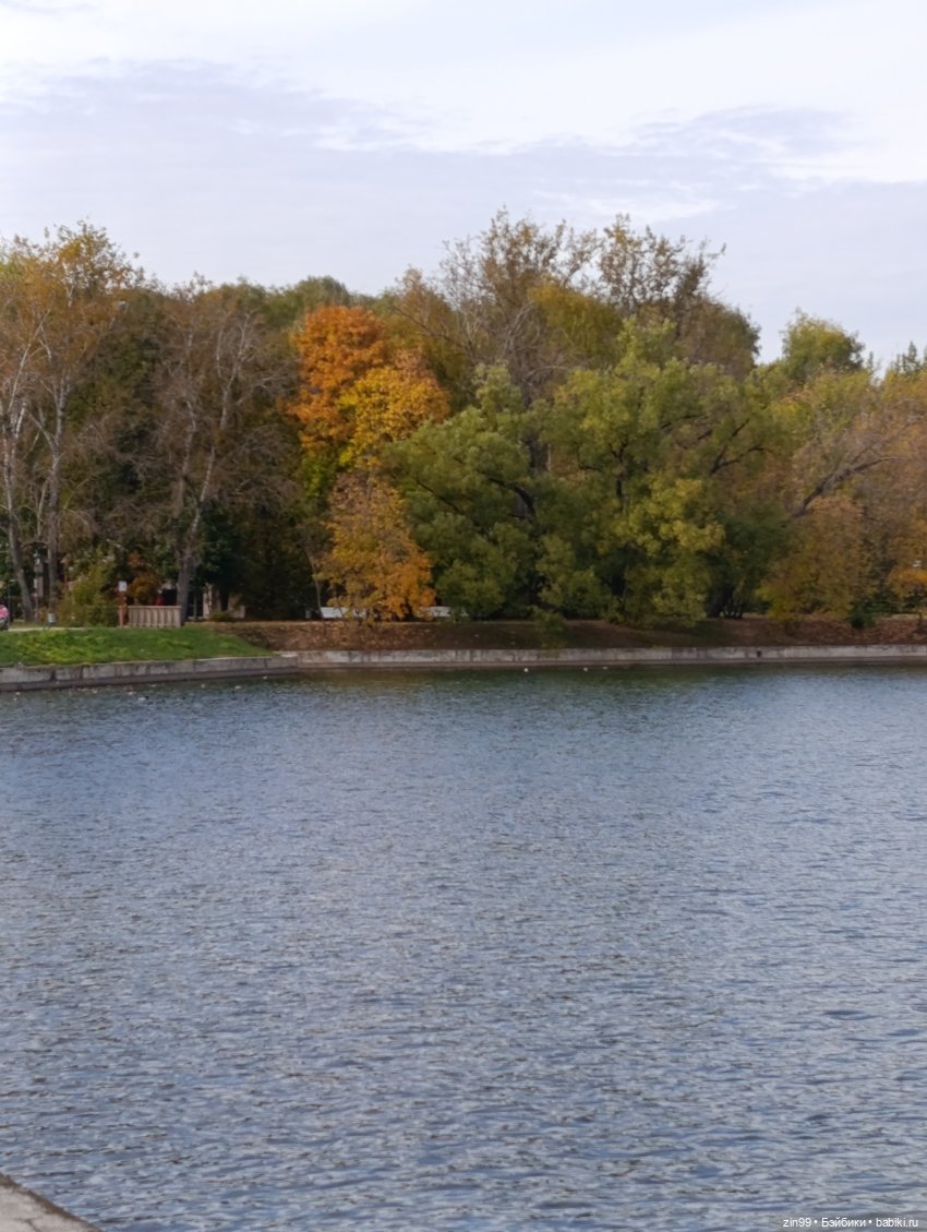 Куклы Kidz'n'Cats и прогулка