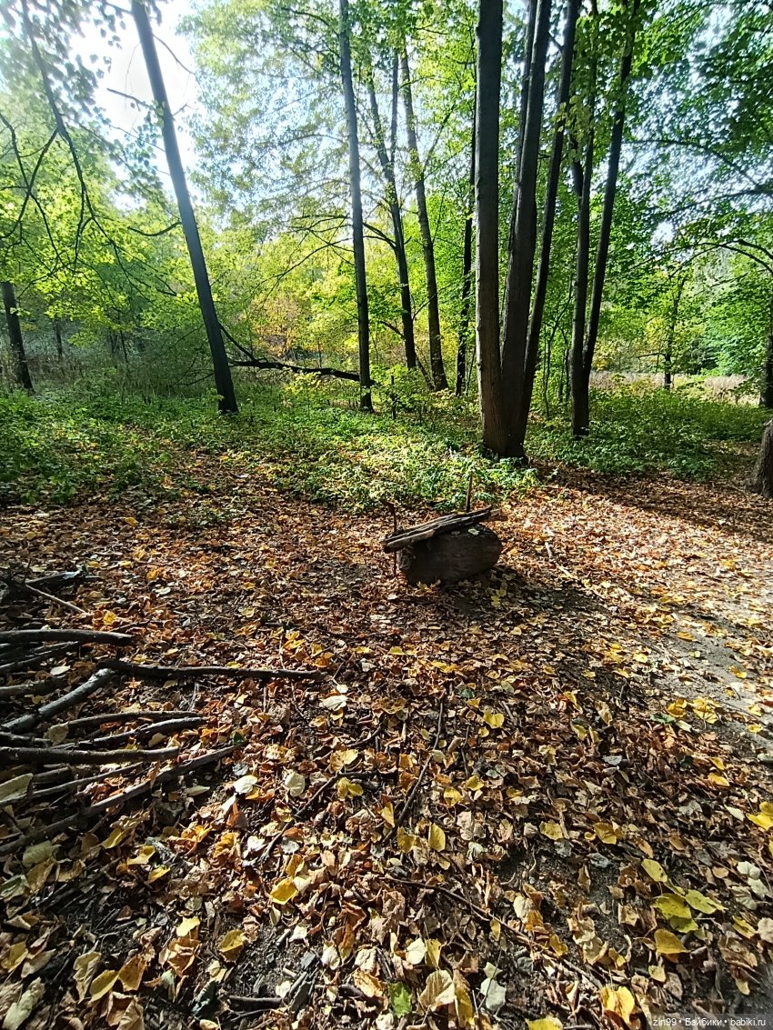 Куклы Kidz'n'Cats и прогулка