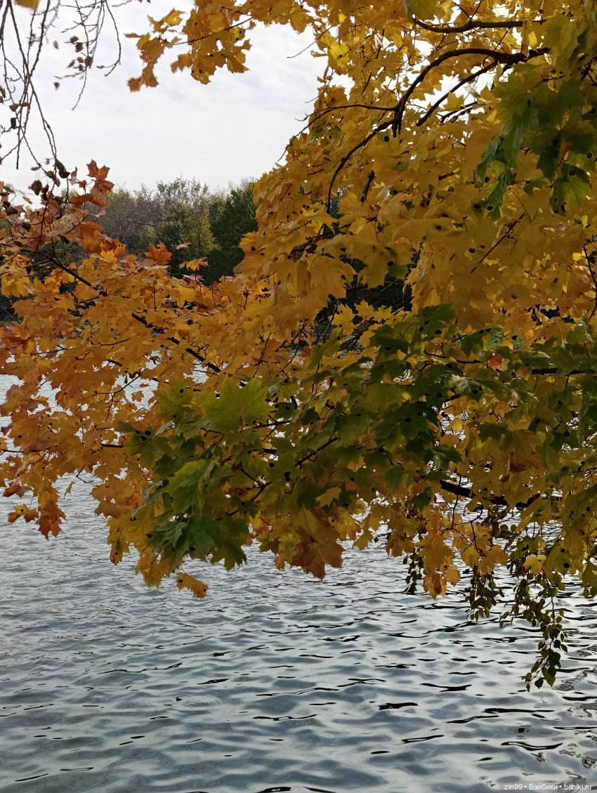 Куклы Kidz'n'Cats и прогулка