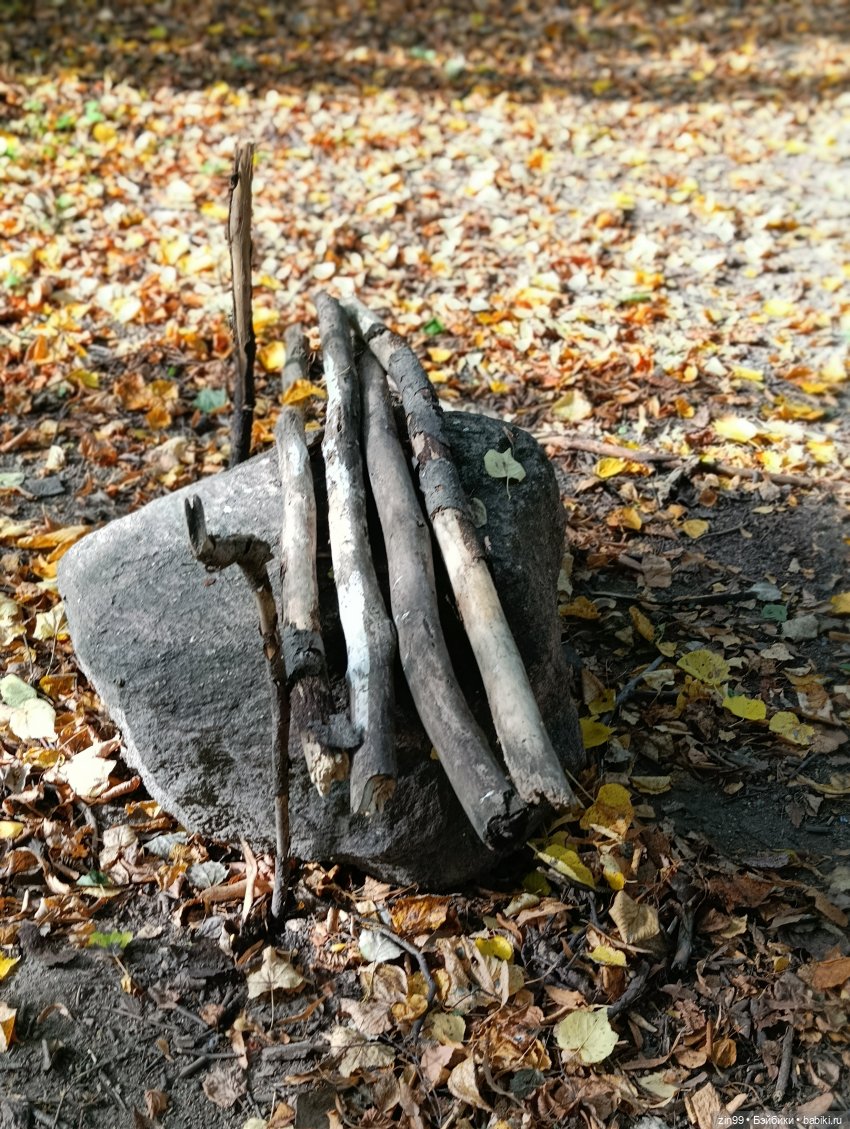 Куклы Kidz'n'Cats и прогулка