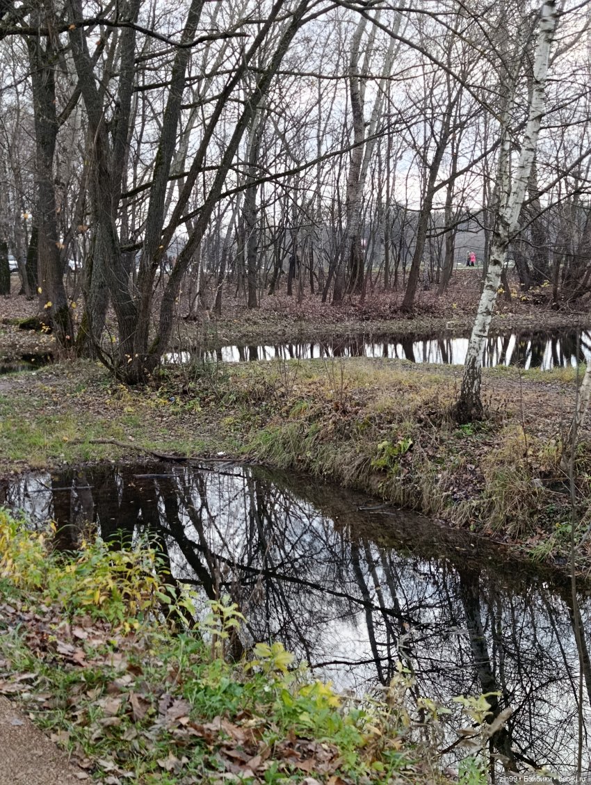 Kimmon или прогулка в лесопарке