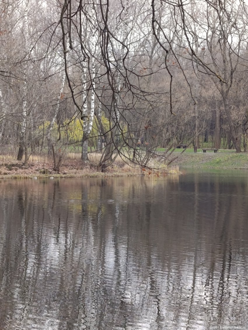 Kimmon или прогулка в лесопарке