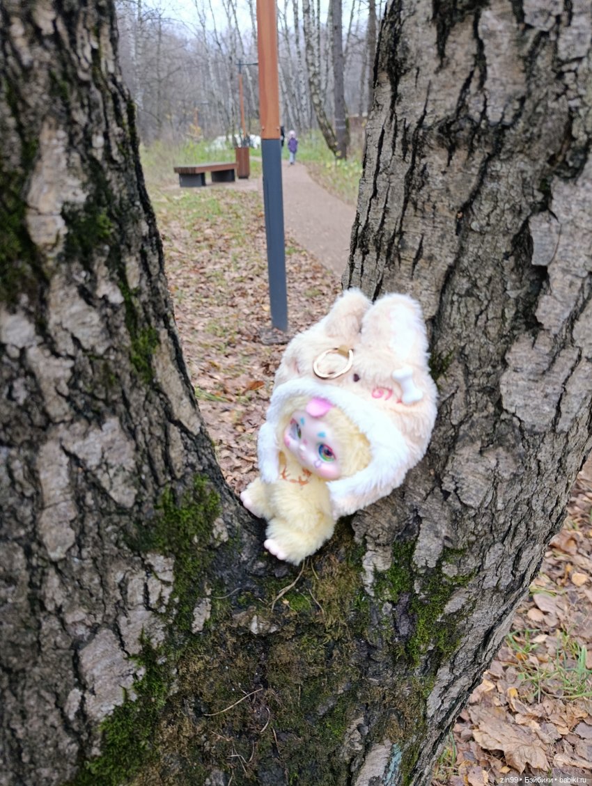 Kimmon или прогулка в лесопарке