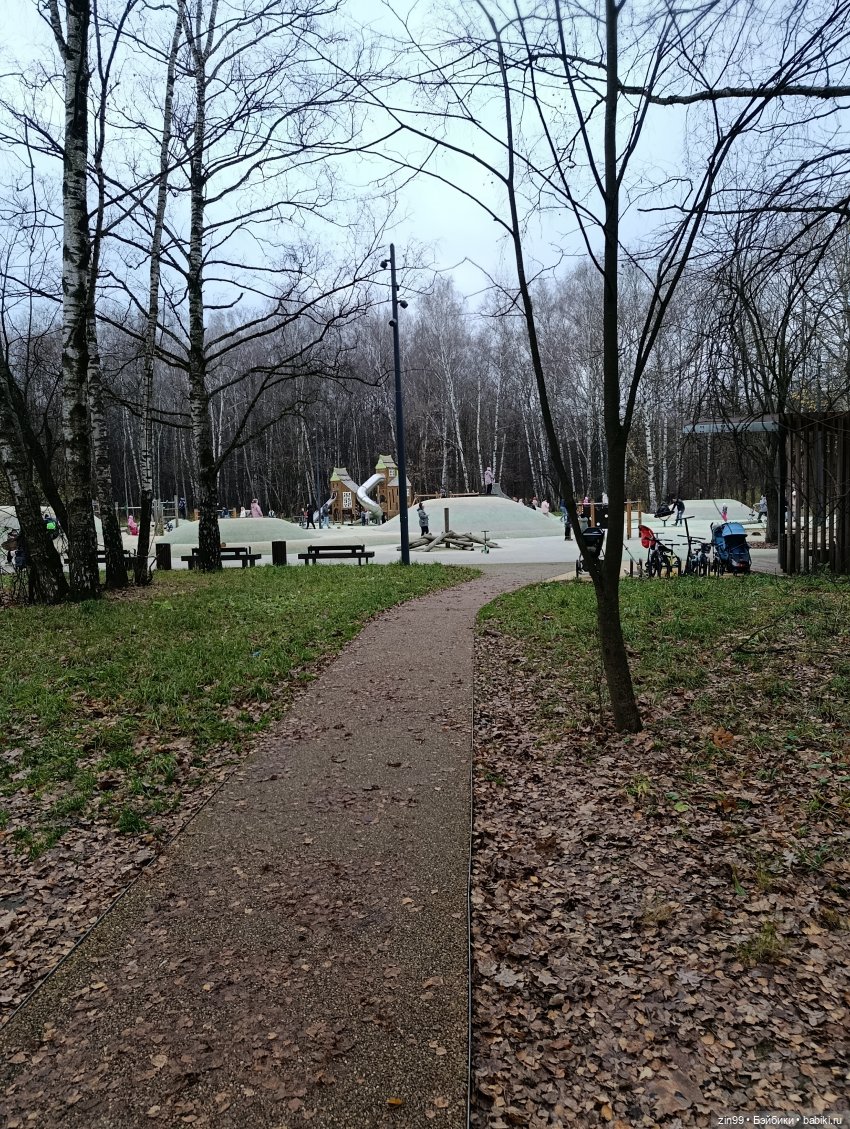 Kimmon или прогулка в лесопарке