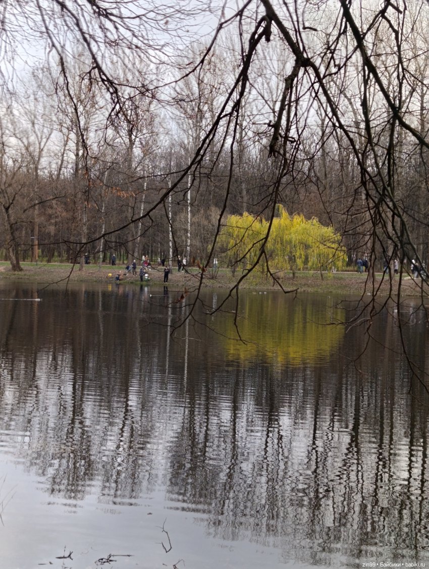 Kimmon или прогулка в лесопарке