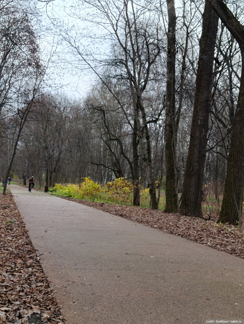 Kimmon или прогулка в лесопарке (фото 10)