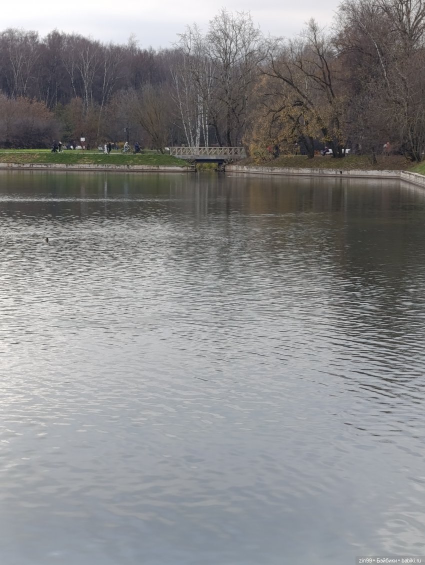 Kimmon или прогулка в лесопарке