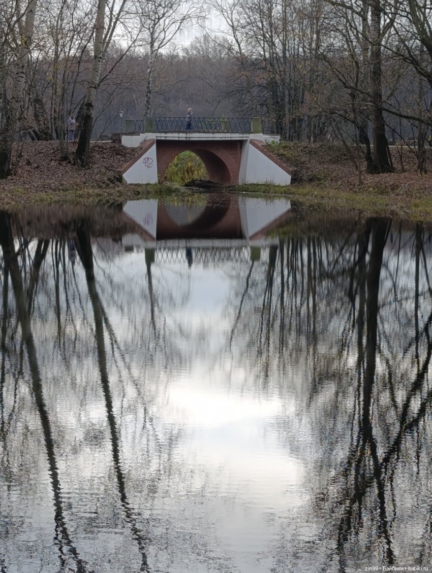 Kimmon или прогулка в лесопарке