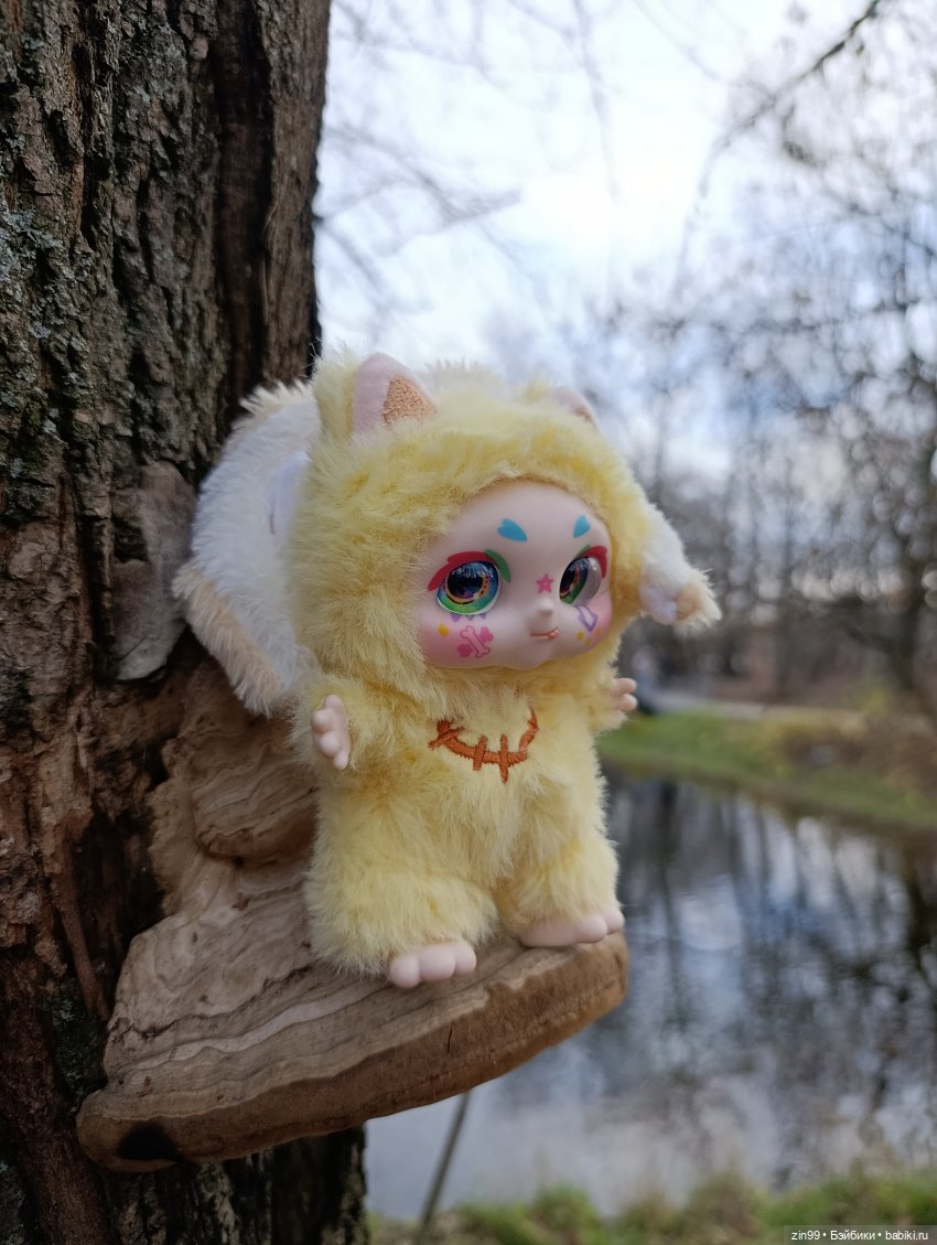 Kimmon или прогулка в лесопарке