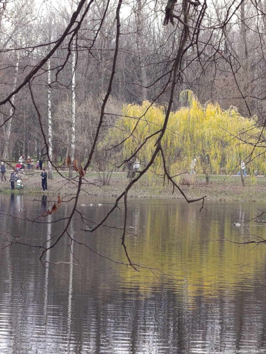 Kimmon или прогулка в лесопарке