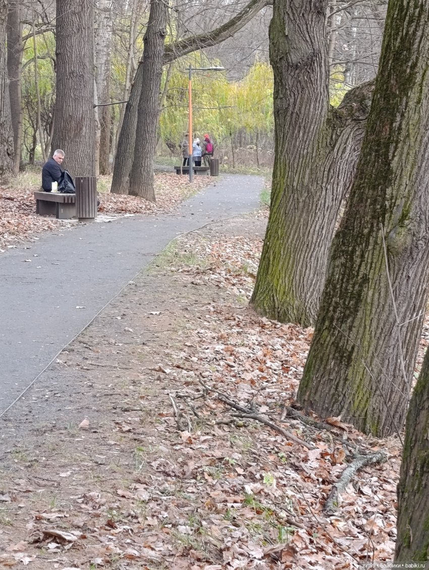 Kimmon или прогулка в лесопарке