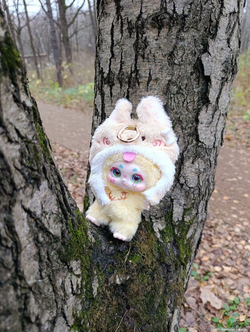 Kimmon или прогулка в лесопарке