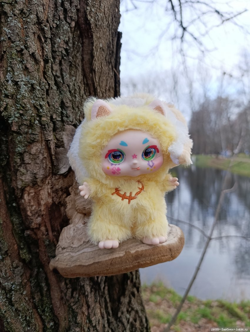 Kimmon или прогулка в лесопарке