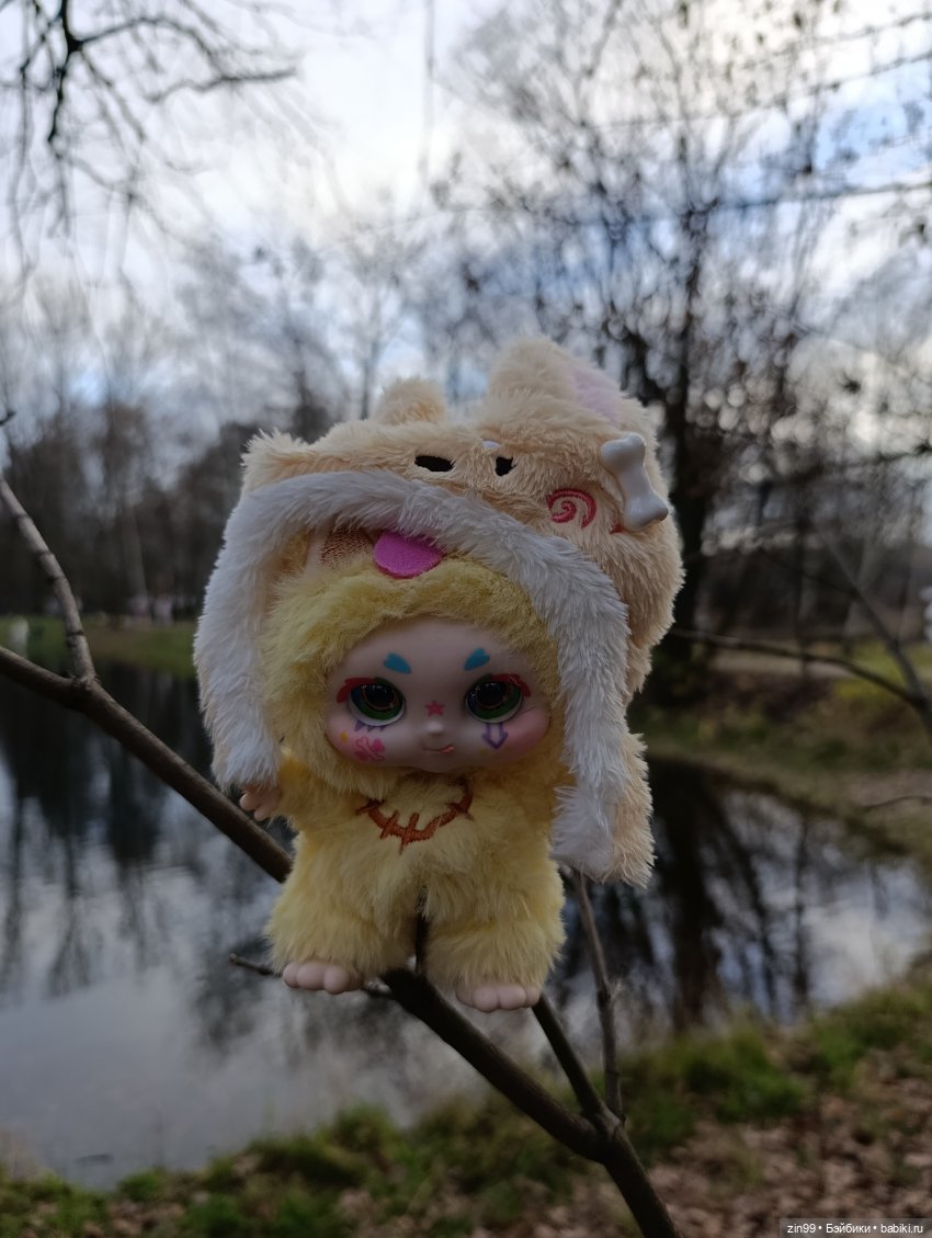 Kimmon или прогулка в лесопарке