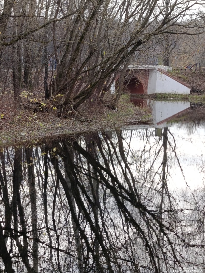 Kimmon или прогулка в лесопарке