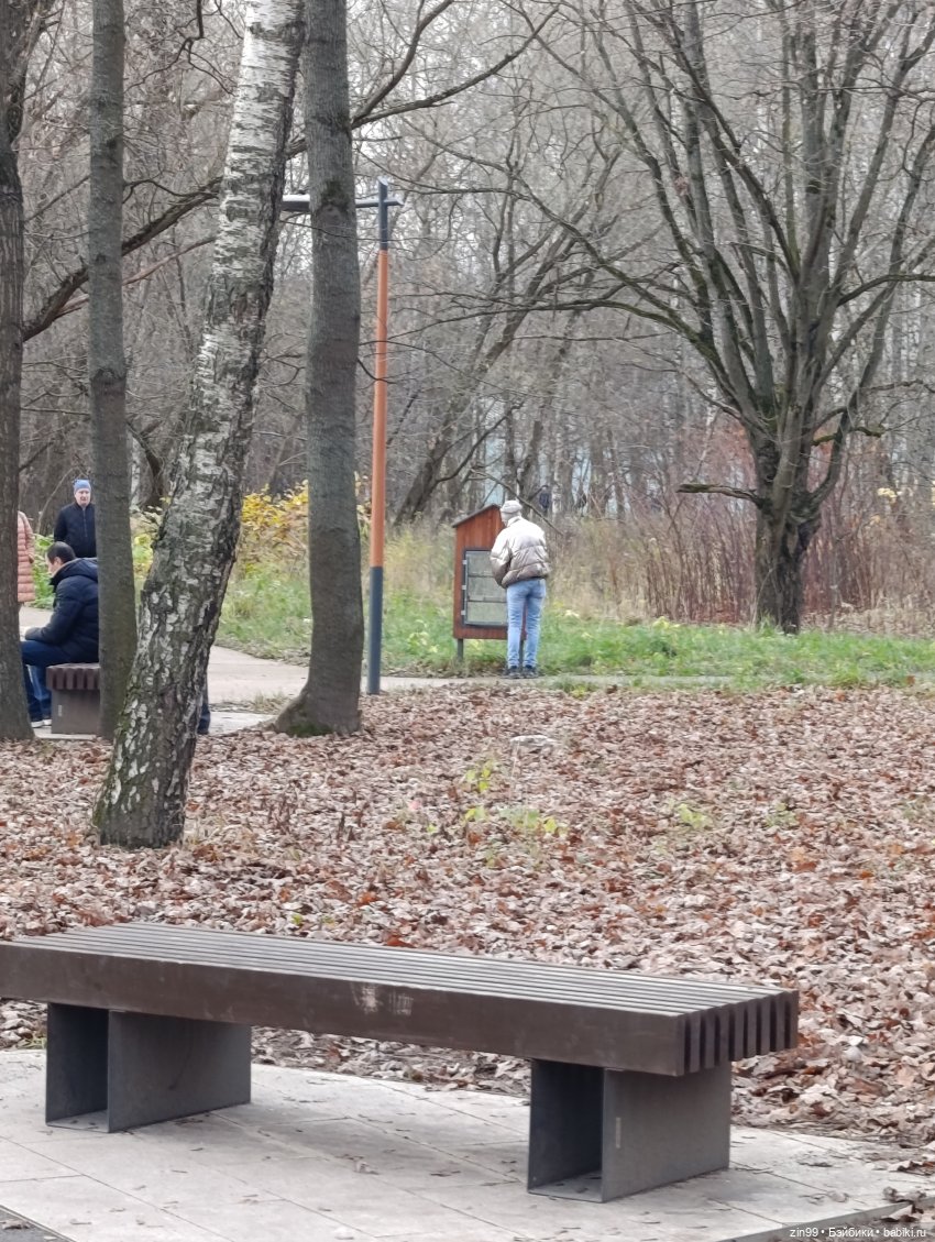 Kimmon или прогулка в лесопарке