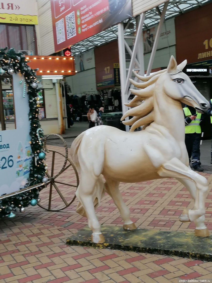 Новогодний Садовод в Москве (фото 4)