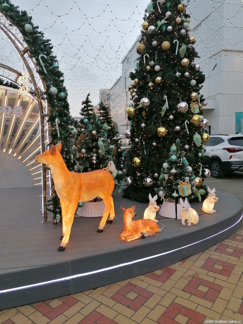 Новогодний Садовод в Москве