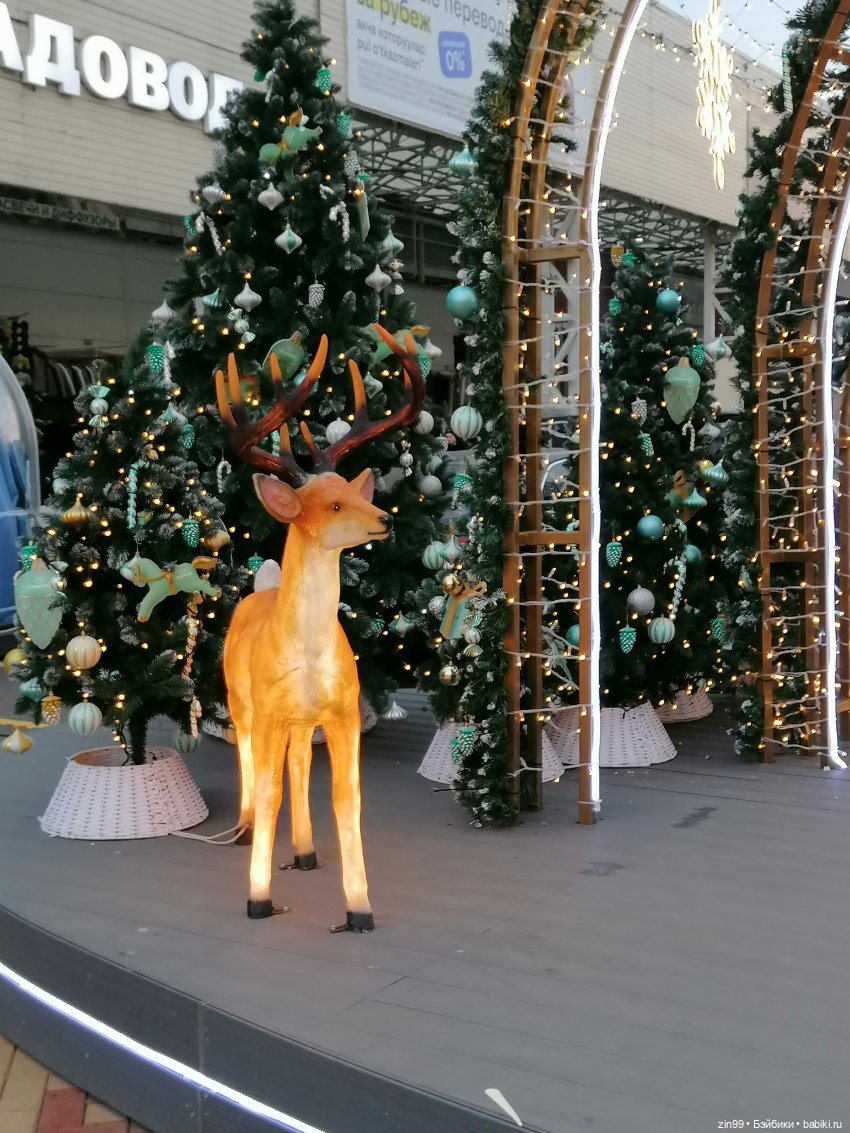 Новогодний Садовод в Москве (фото 2)