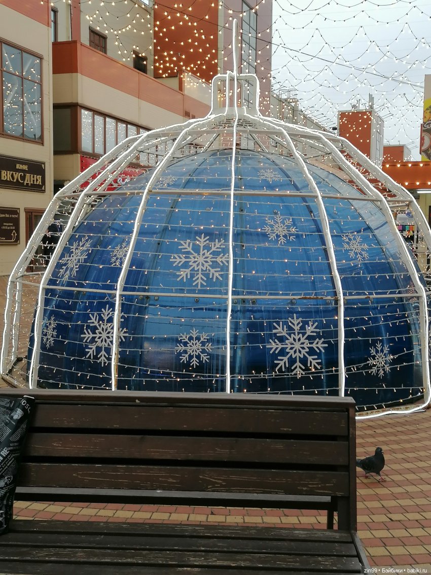 Новогодний Садовод в Москве (фото 3)