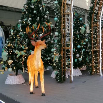 Новогодний Садовод в Москве