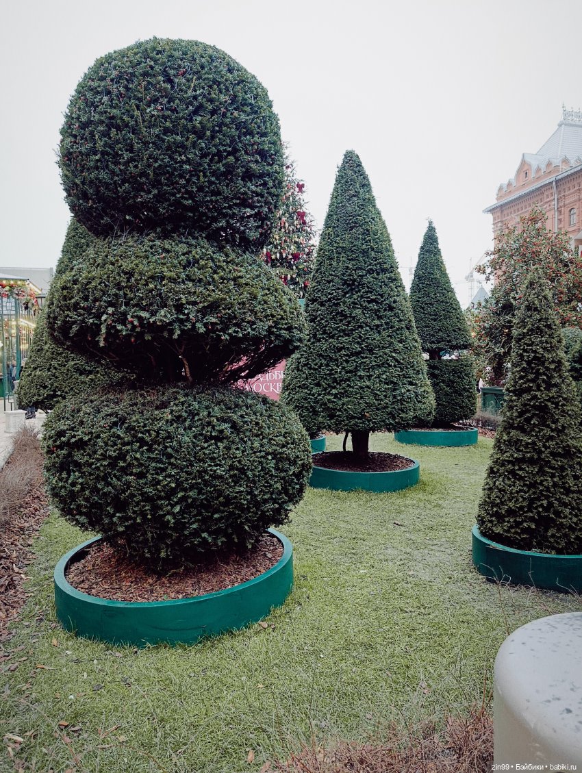 Сезон Зима в Москве. А что подарить