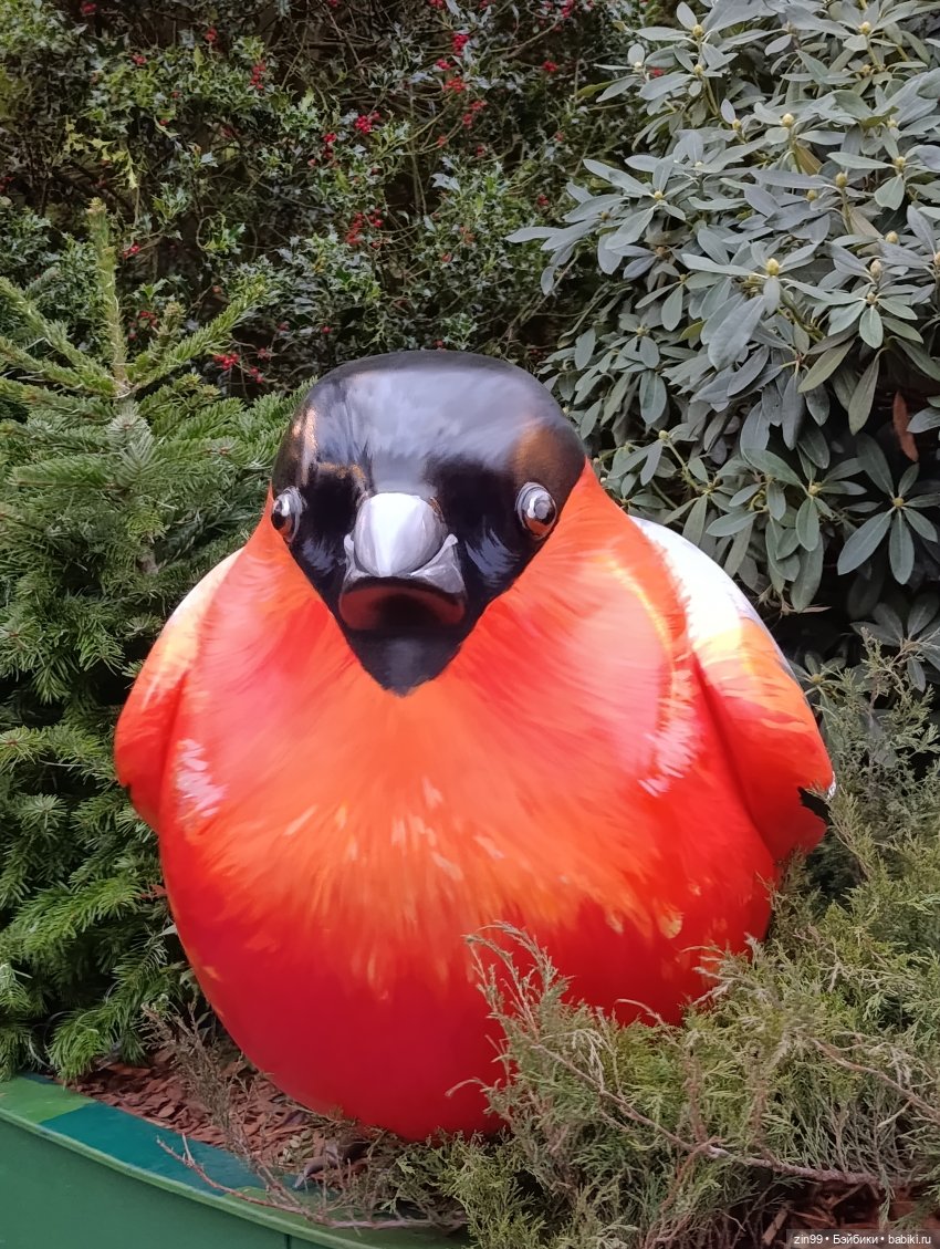 Сезон Зима в Москве. А что подарить