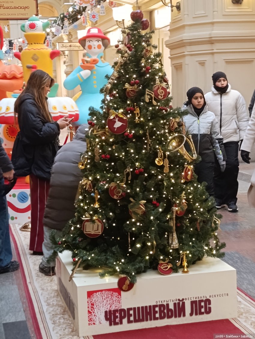 Ёлочки у нас дома, какие они (фото 3)