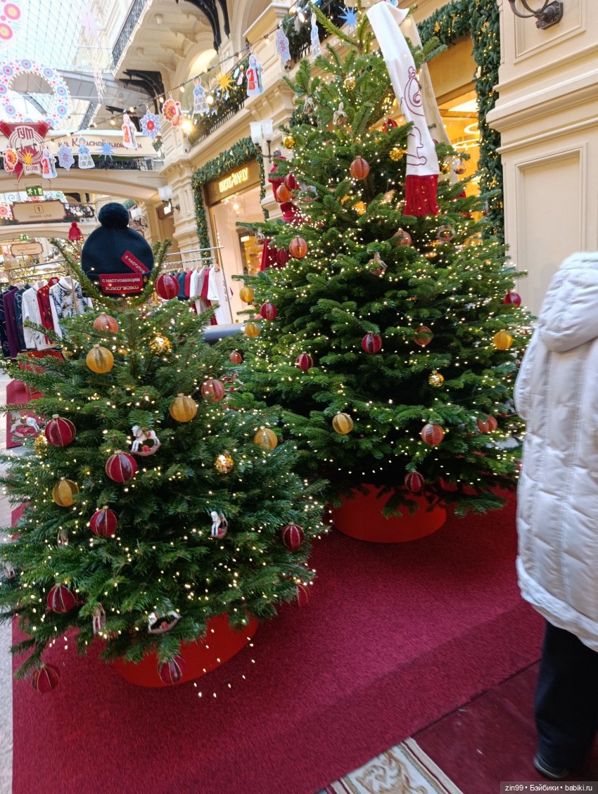 Ёлочки у нас дома, какие они