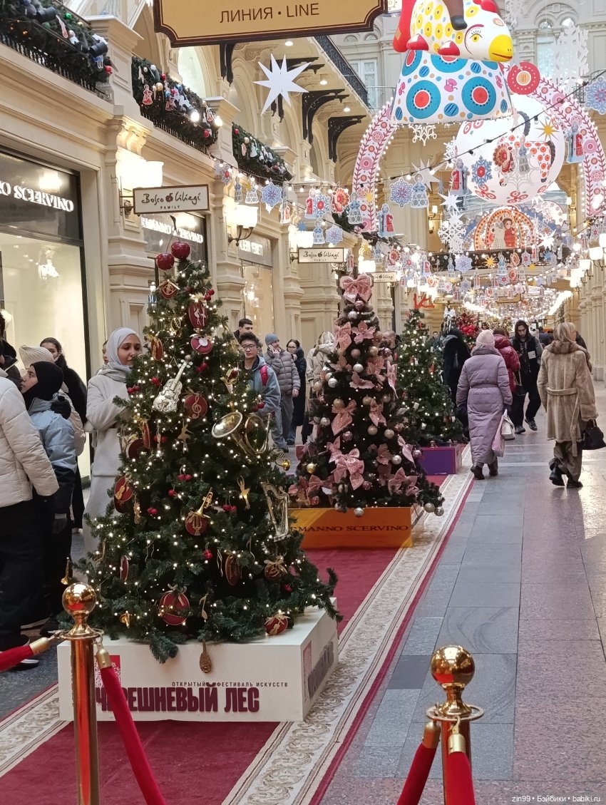 Ёлочки у нас дома, какие они (фото 6)