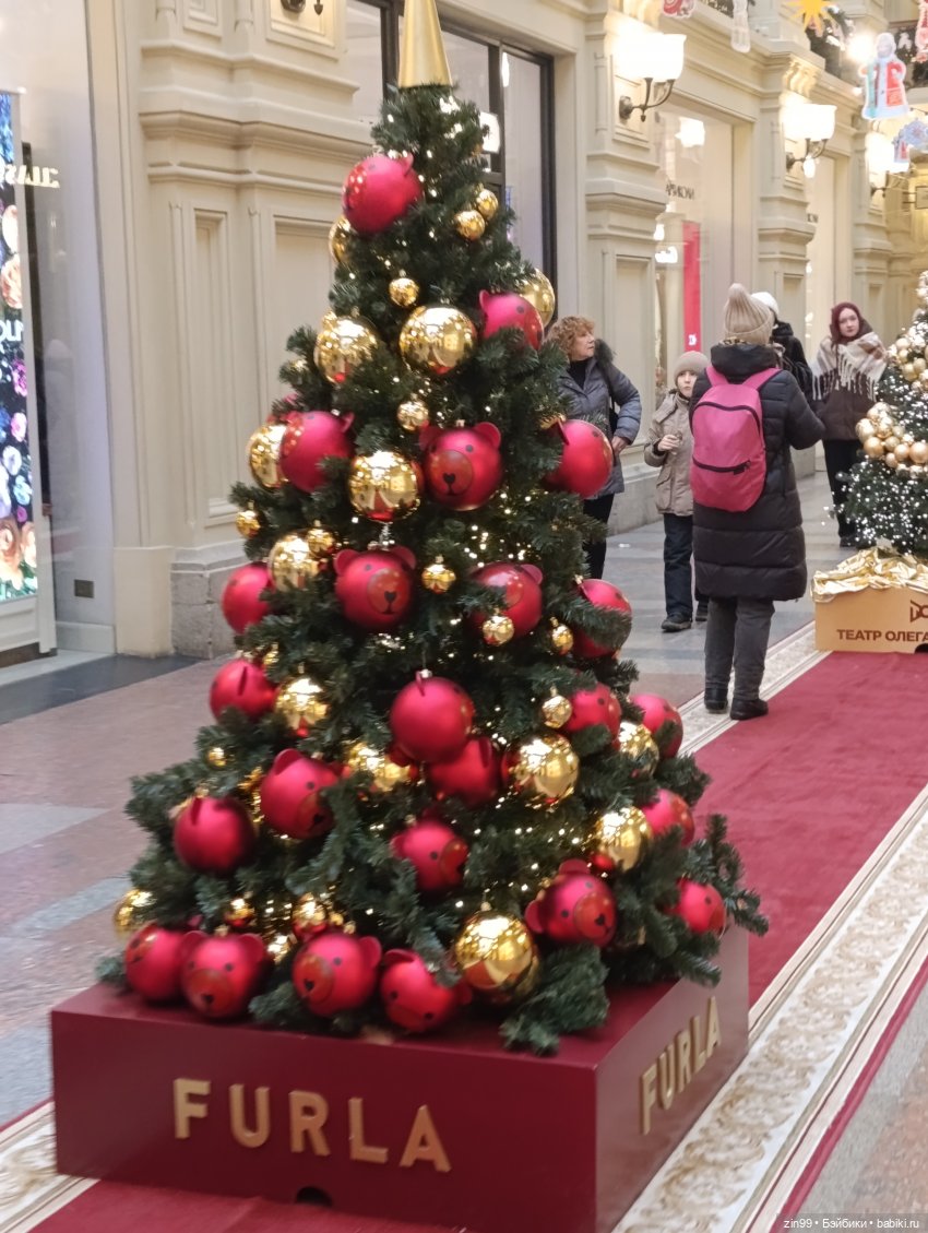 Ёлочки у нас дома, какие они (фото 8)