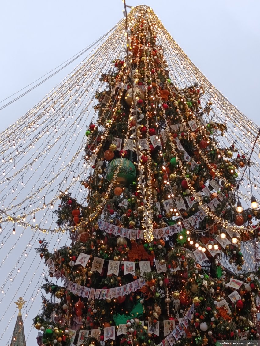 Ёлочки у нас дома, какие они