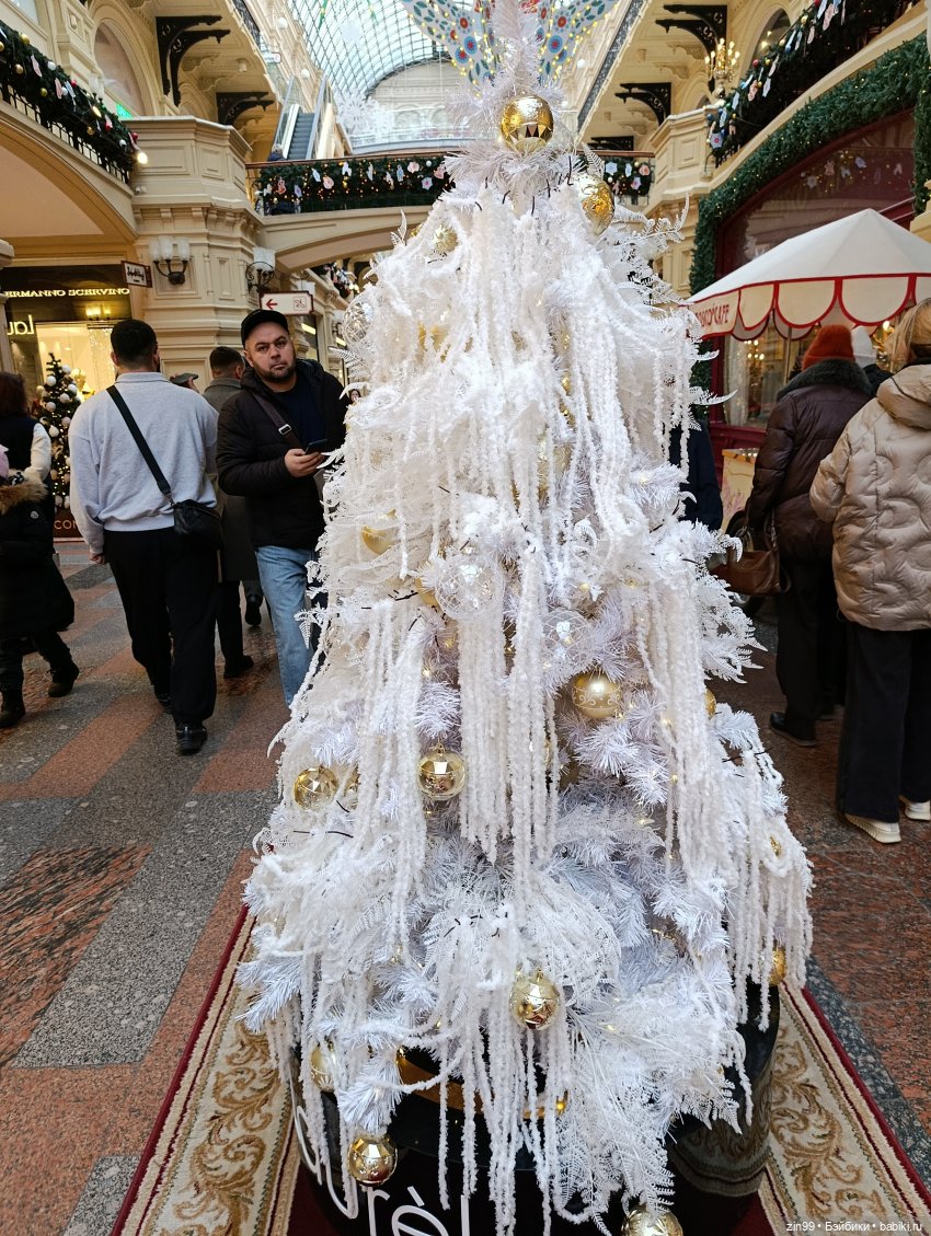 Ёлочки у нас дома, какие они