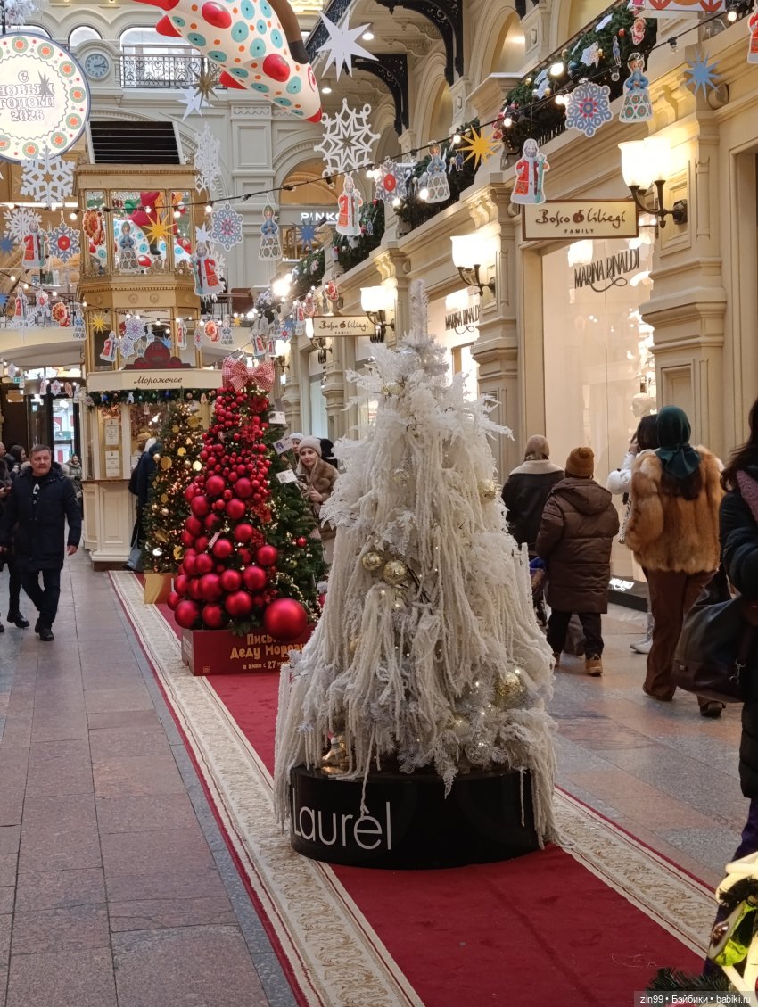 Ёлочки у нас дома, какие они (фото 5)