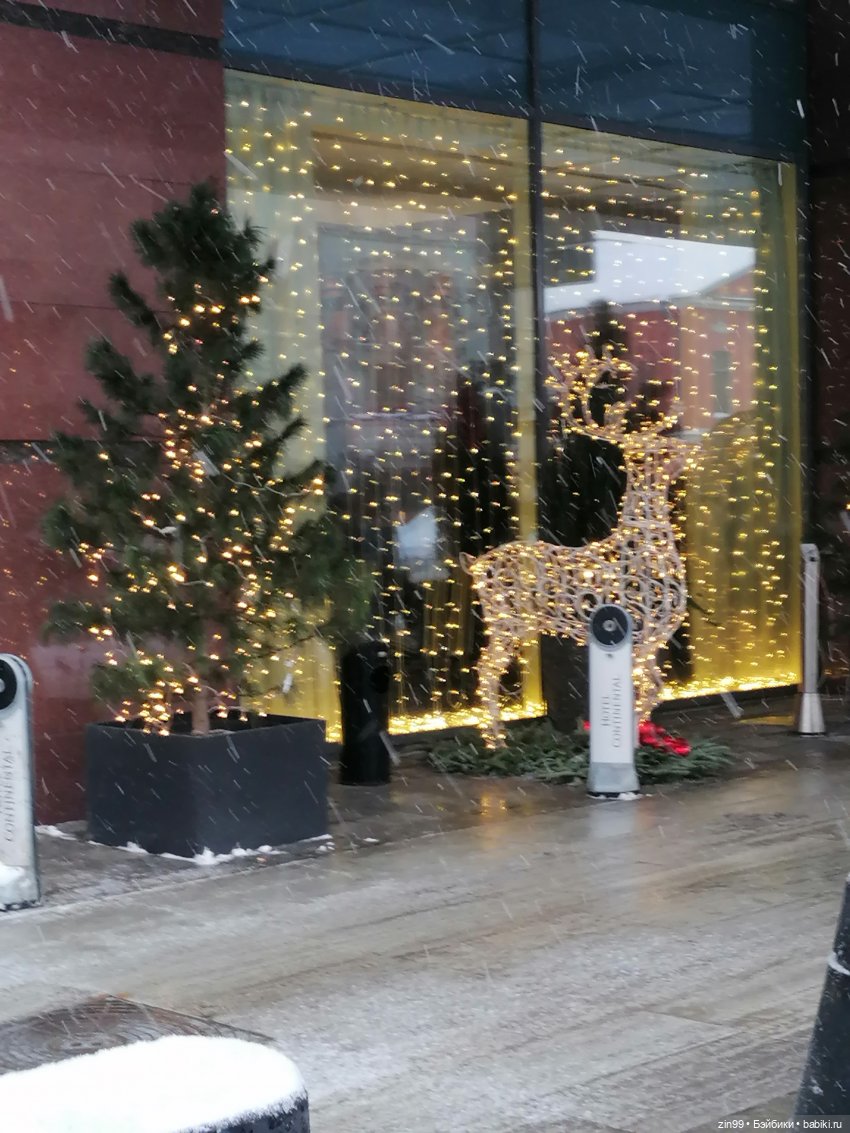 Старый новый год и Каталины (фото 8)