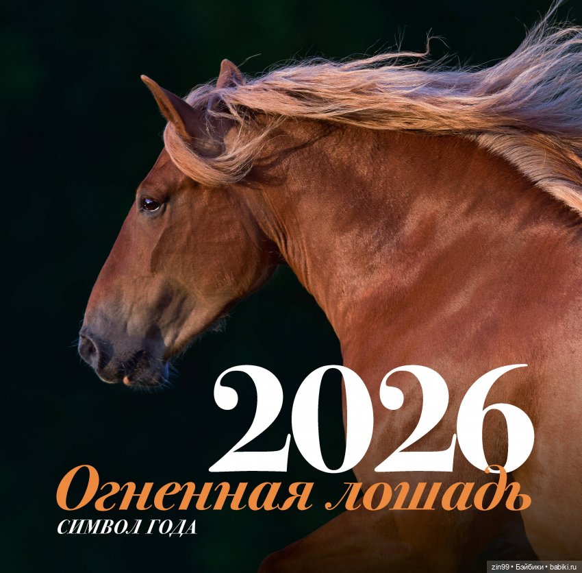 С Новым годом Огненной лошади (фото 4)