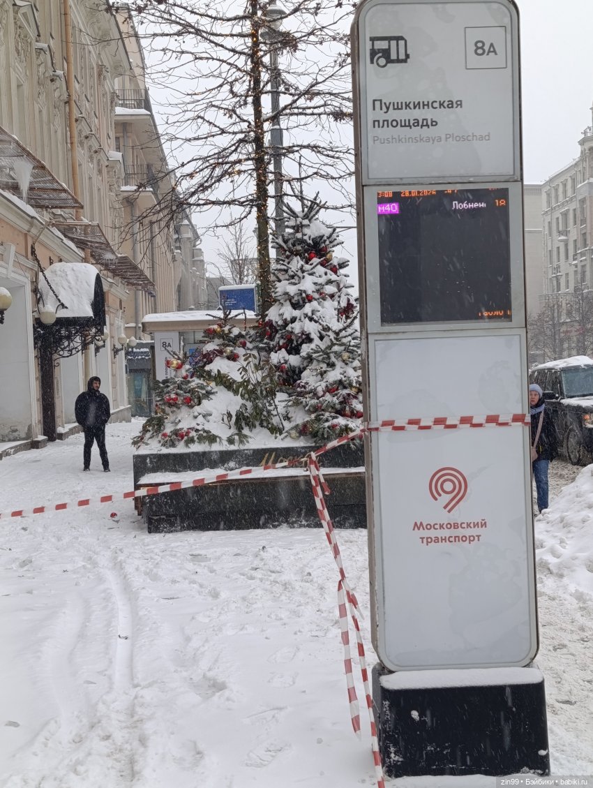 Снежная прогулка по Москве (фото 6)