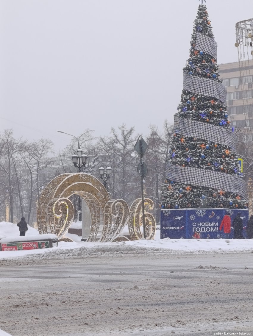 Снежная прогулка по Москве (фото 2)