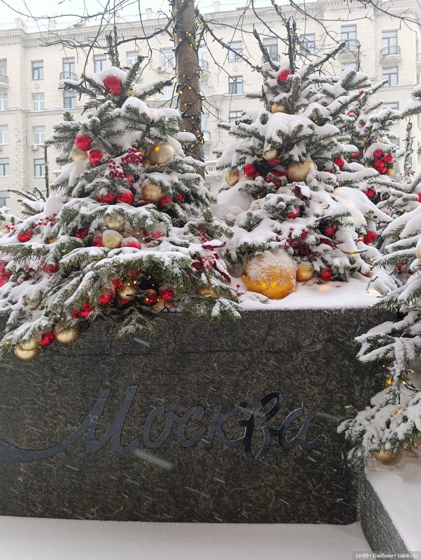 Снежная прогулка по Москве (фото 4)