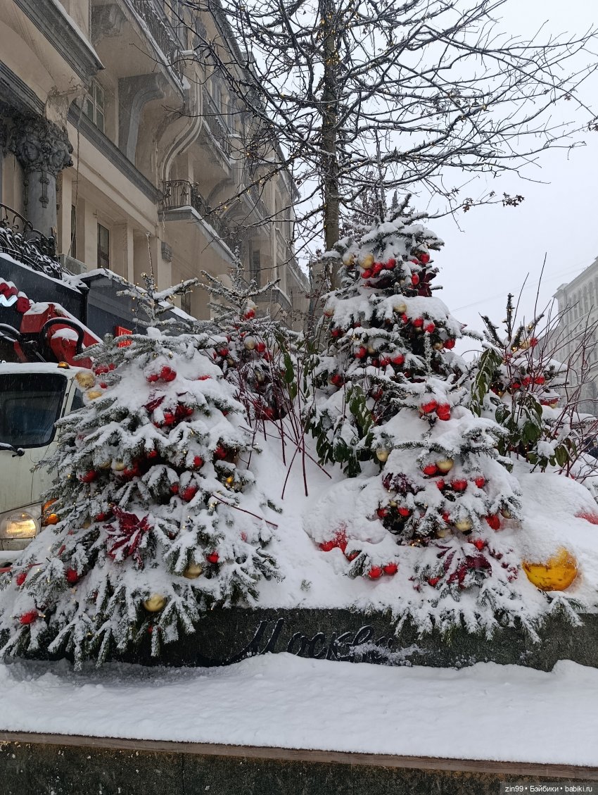 Снежная прогулка по Москве (фото 9)