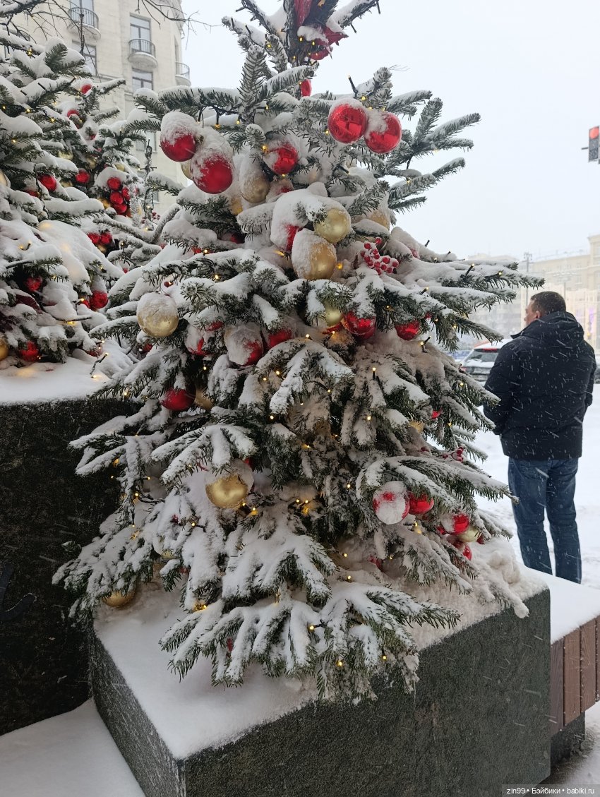 Снежная прогулка по Москве (фото 5)