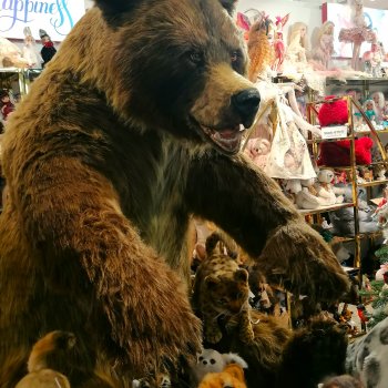 Прогулка, чтоб поднять настроение