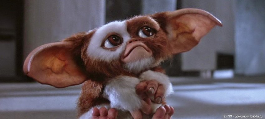 Гизмо Могвай — Интересные игрушки и фигурки (разное): редкие (фото 6)