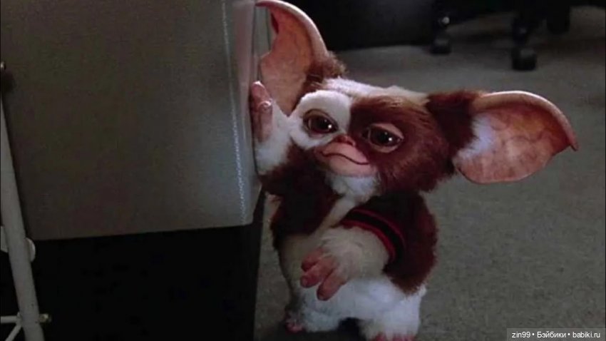 Гизмо Могвай — Интересные игрушки и фигурки (разное): редкие (фото 7)