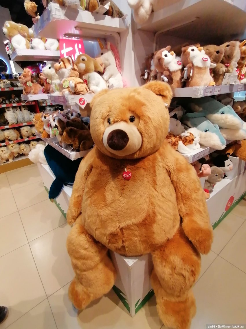 Буратино в ЦДМ и прогулка