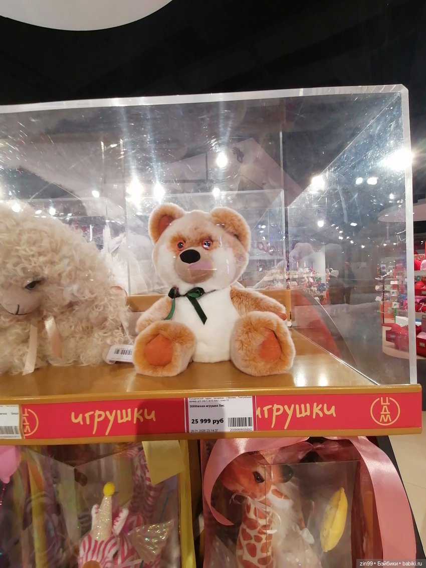 Буратино в ЦДМ и прогулка