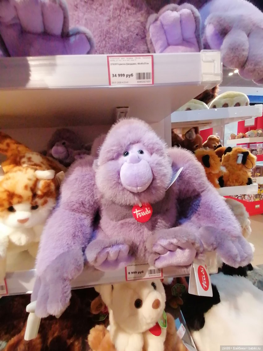 Буратино в ЦДМ и прогулка