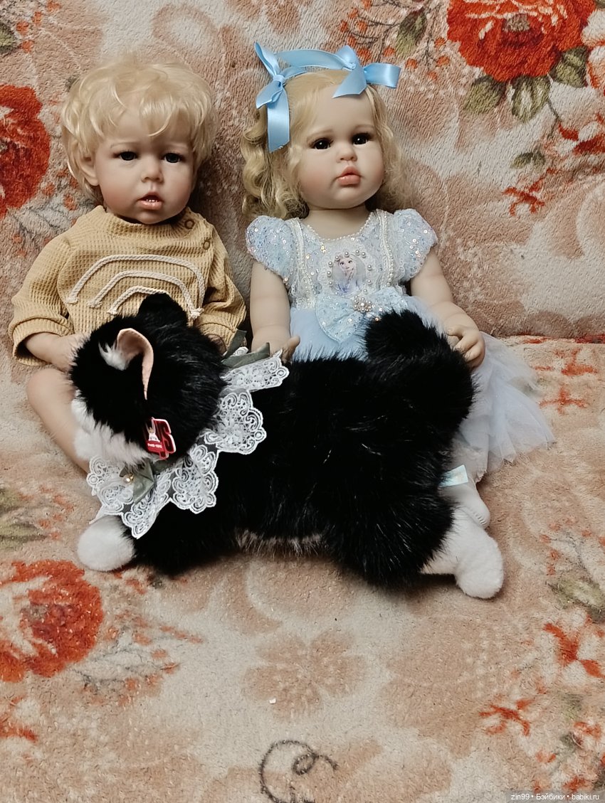 День кошек в России | Бэйбики День кошек в России — В мире животных: смешные фото питомцев и зверей (фото 4)